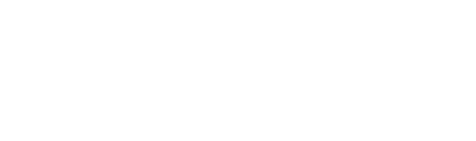 National Auction Group logo